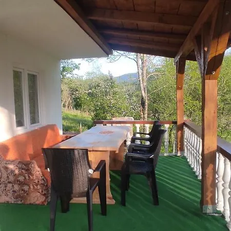 Vlasic Holiday Home Dom wakacyjny *